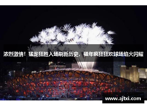 浓烈激情！猛龙狂胜入场刷新历史，骚年疯狂狂欢球场焰火闪耀